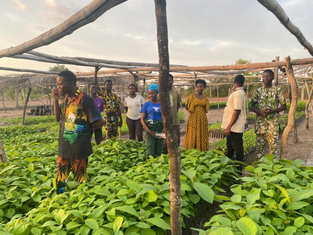 Production Pépinière