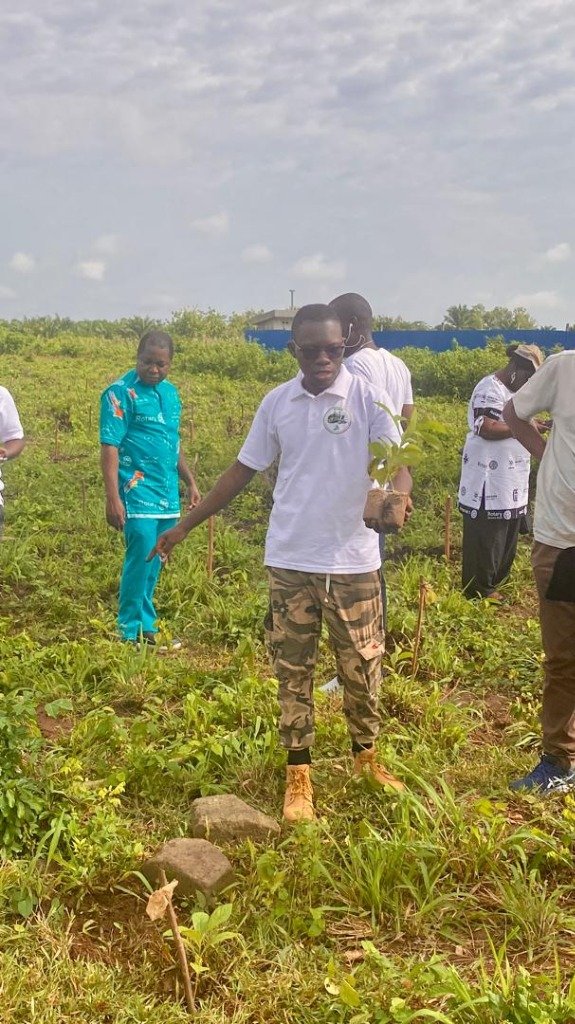 Plantation Technique